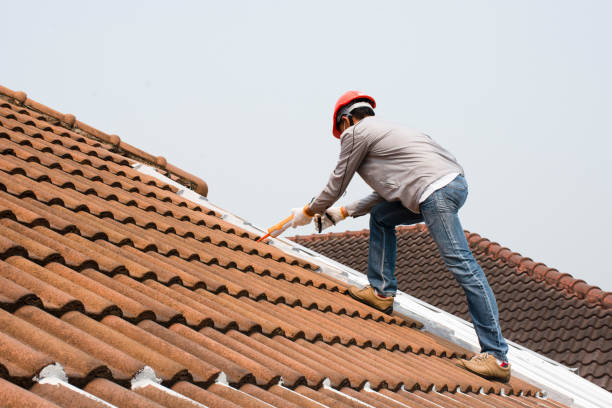 Best Roof Coating and Sealing  in Walls, MS