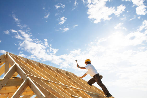 Best Asphalt Shingle Roofing  in Walls, MS